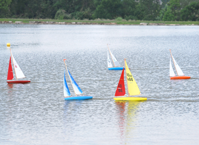 11reg4_goodwind
